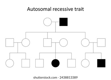 Pedigree chart. Autosomal recessive trait.