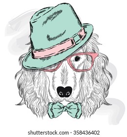 Pedigree dog. Cute puppy. Spaniel wearing a hat , sunglasses and a tie . 