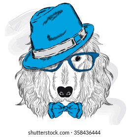 Pedigree dog. Cute puppy. Spaniel wearing a hat , sunglasses and a tie . 
