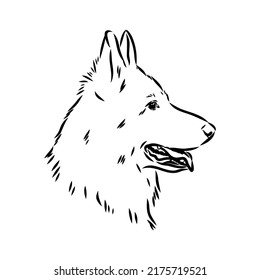 pedigree dog drawn in ink by hand without a background