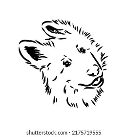 pedigree dog drawn in ink by hand without a background