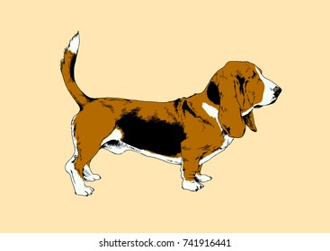 pedigree dog drawn with ink and painted in the style of pop art figure hand symbol of the new year