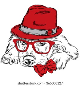 Pedigree dog. Labrador wearing a hat , sunglasses and a tie. Vector illustration for greeting card, poster, or print on clothes.
