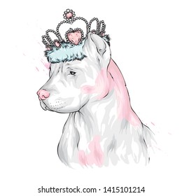 Pedigree dog. Pitbull. A beautiful puppy in a crown. Vector illustration.