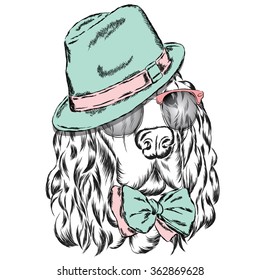 Pedigree dog. Spaniel wearing a hat , sunglasses and a tie . 