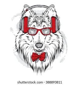Pedigree dogs painted by hand. Collie wearing headphones and sunglasses. Vector illustration.