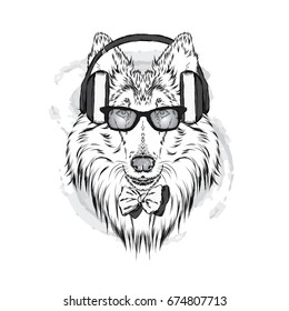 Pedigree dogs painted by hand. Collie wearing headphones and sunglasses. Vector illustration.