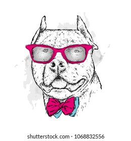 A pedigreed dog with glasses and a tie. Pitbull. Vector illustration.
