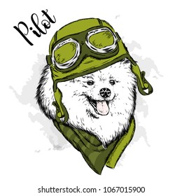 A pedigreed dog with a helmet and scarf. The biker. Spitz pomeranian painted in vector.