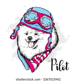 A pedigreed dog with a helmet and scarf. The biker. Spitz pomeranian painted in vector.