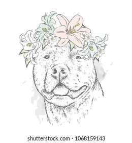 A pedigreed dog in a wreath of flowers. Pitbull. Vector illustration.