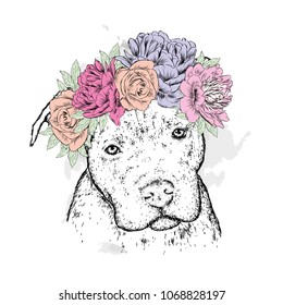 A pedigreed dog in a wreath of flowers. Pitbull. Vector illustration.
