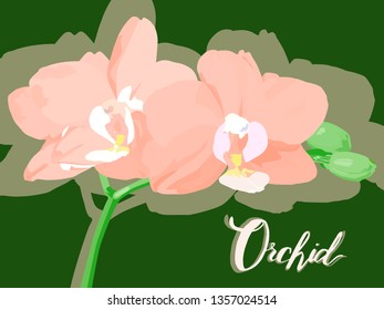 Peduncle orchids with the inscription of the word orchid. For flower shops. For advertising orchids.