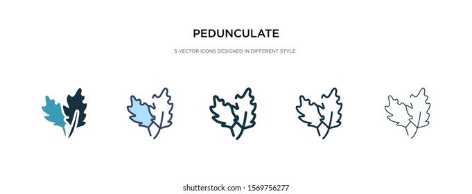 pedunculate icon in different style vector illustration. two colored and black pedunculate vector icons designed in filled, outline, line and stroke style can be used for web, mobile, ui