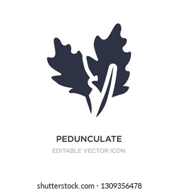 pedunculate icon on white background. Simple element illustration from Nature concept. pedunculate icon symbol design.