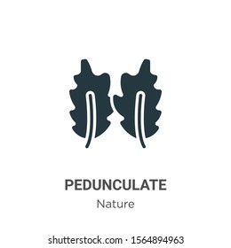 Pedunculate vector icon on white background. Flat vector pedunculate icon symbol sign from modern nature collection for mobile concept and web apps design.