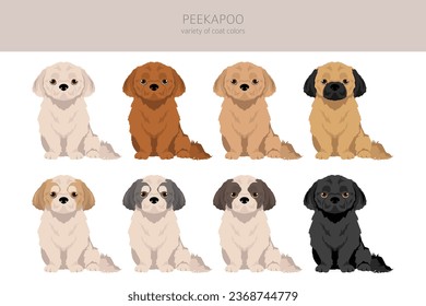 Peekapoo clipart. Pekingese Poodle mix. Different coat colors set.  Vector illustration