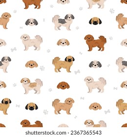 Peekapoo seamless pattern. Pekingese Poodle mix. Different coat colors set.  Vector illustration