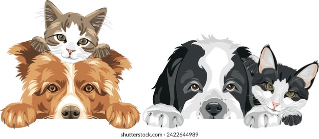 Peeking Border Collie, Saint Bernard dog and two cute cats isolated on white. Vector