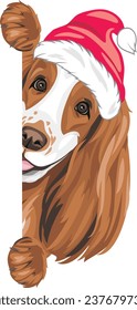 Peeking Cocker Spaniel dog in Christmas hat. Vector