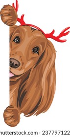 Peeking Cocker Spaniel dog with Christmas horns. Vector
