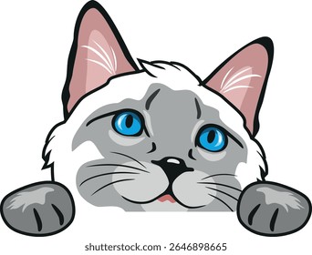 Peeking curious Siamese cat. Vector