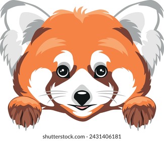 Peeking cute red panda isolated on white. Vector