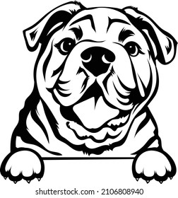 Peeking ENGLISH Bulldog Vector Silhouette 