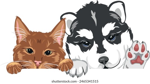 Peeking funny ginger cat and husky dog. Vector