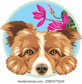 Peeking happy Border Collie dog with pink flowers. Vector