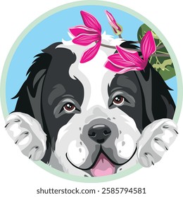 Peeking happy Saint Bernard puppy dog with pink flowers. Vector