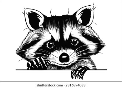 Peeking raccoon vector EPS file perfect for your creative projects. High-quality and fully editable illustration, Ideal for designs, prints, and more
