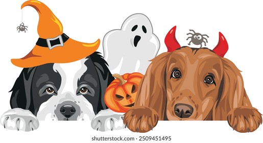 Peeking Saint Bernard and Cocker Spaniel dog with Halloween fancy accessories. Vector