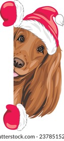 Peeking Santa Cocker Spaniel dog with Christmas hat and mittens. Vector