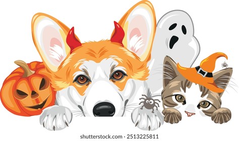 Peeking galés Corgi perro y lindo gato con accesorios de lujo de Halloween. Vector