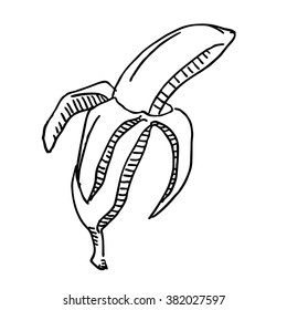 Peel banana tropical dessert,  food sketch  drawing. Vintage line style illustration. 
For restaurant and  cafe design