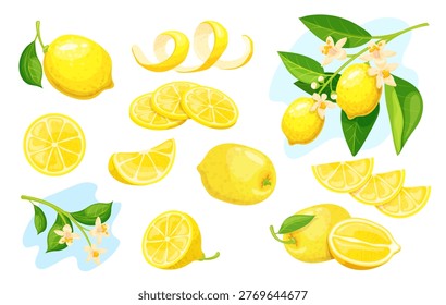 Peel lemon. Citrus yellow fruit lemonade ingredient sour fresh juicy cut fruit slice with zest twist rind natural vitamin lemons branch leaf flower cartoon neat vector illustration