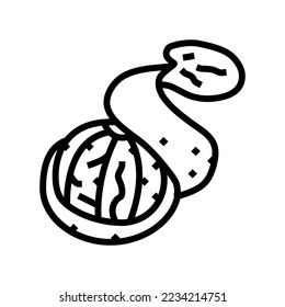 peel mandarin orange  line icon vector. peel mandarin orange  sign. isolated contour symbol black illustration