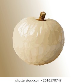 A Peel Off Ripe Juicy White Lychees vector Silhouette