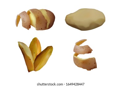 Peeled and baked Potatoes set. Vector illustration. Vegetarian food.