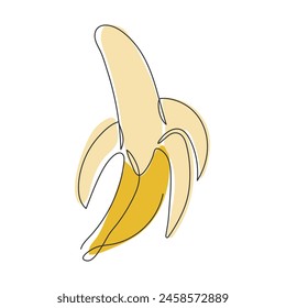 Peeled banana doodle illustration. Tropical exotic ripe fruit isolated on white. Design element. One banana drawn in a continuous line. Ingredient for dessert, smoothie. Sweet healthy food