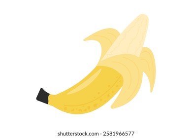 Peeled banana hand drawn.Tropical fruits