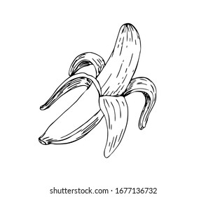 Peeled banana in line art style.