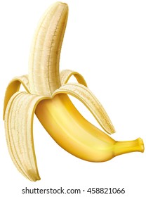 Peeled banana on a white background. Vector illustration