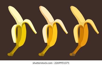 Peeled banana. Banana without peel. Banana set. Green, ripe and overripe bananas. Vector clipart.