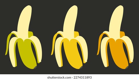 Peeled banana. Banana without peel. Banana set. Green, ripe and overripe bananas. Vector clipart.