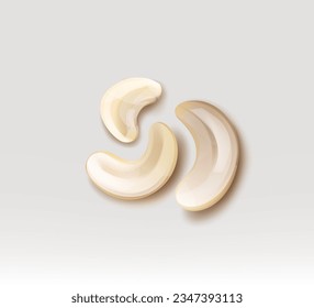 peeled cashew nuts vector illustration on white background