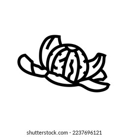 geschälte Clementine-Linie-Symbol-Vektorgrafik. geschältes Clementinzeichen. isoliertes Kontursymbol