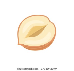 Avellana cortada pelada aislada sobre fondo blanco. Ilustración plana de dibujos animados de Vector. Icono de tuerca