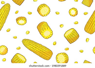 peeled ear of corn, a piece of and seeds a isolated Endless continuation. on white background. hand drawn Vector illustration.